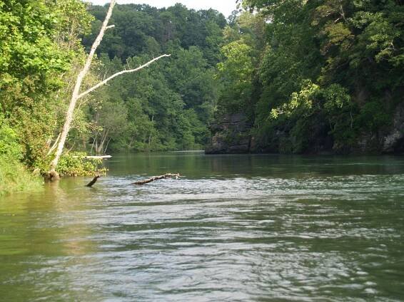 Watauga River Description - Brown Trout Fly Fishing
