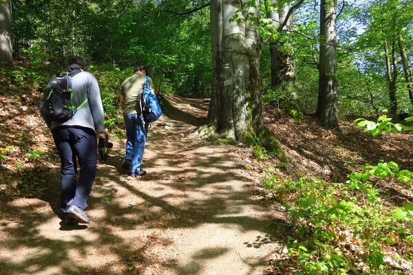 Za Desnou jako na dlani – 04.05.2024 – KČT Rokytnice nad Jizerou