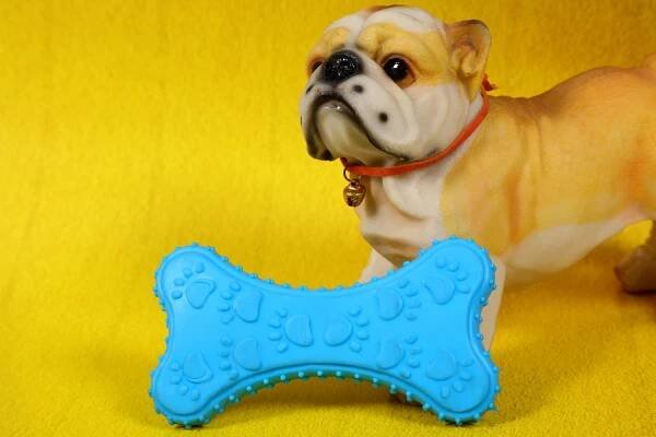Chewable-Bone-Shaped-Toy-Small-Blue