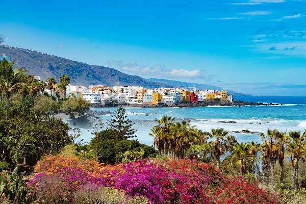 Coastal village in Tenerife with colorful buildings and vibrant flowers.