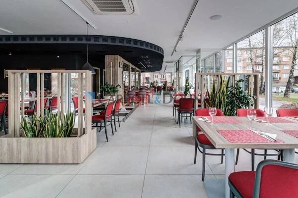 Kam dnes na oběd? Do restaurace La Strada na zvěřinový gulášek!