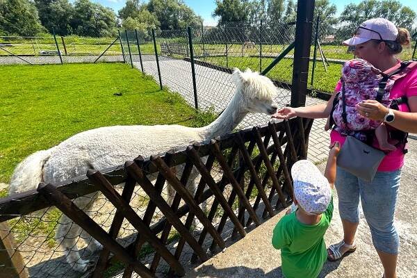 Arboretum i Dětský ranč se snaží chránit zvířata před nakažením