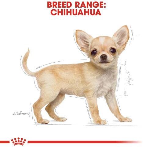 Royal Canin Chihuahua Junior