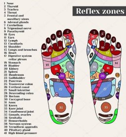 Stáhnout - Akupunkturních bodů na chodidlech. Reflexní zóny na nohou. Akupunktura. Čínská medicína. — Ilustrace