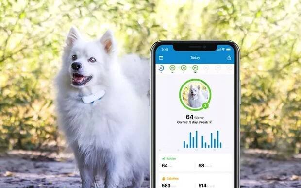 Tractive GPS DOG 4 – GPS sledování polohy a aktivity pro psy
