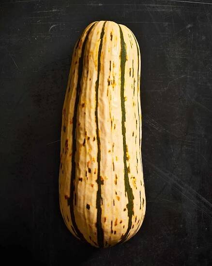 Delicata Squash