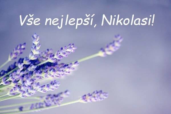 Nejkrásnější blahopřání k svátku pro Nikolase na jednom místě. Vyberte si!