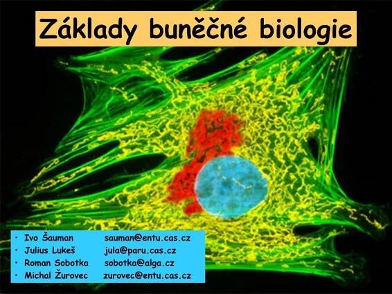 PPT - Základy buněčné biologie PowerPoint Presentation, free download - ID:1123423
