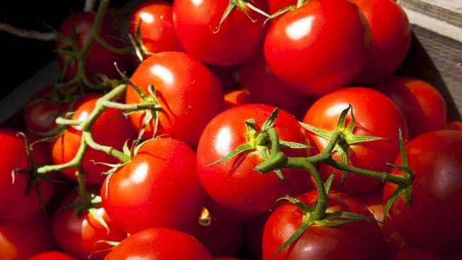 Je rajče ovoce, nebo zelenina? Je to složitější, než si myslíte