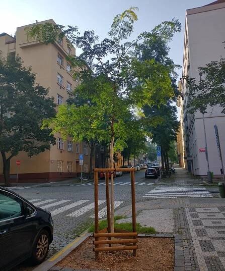 Aktuální informace - zelenvpraze.cz