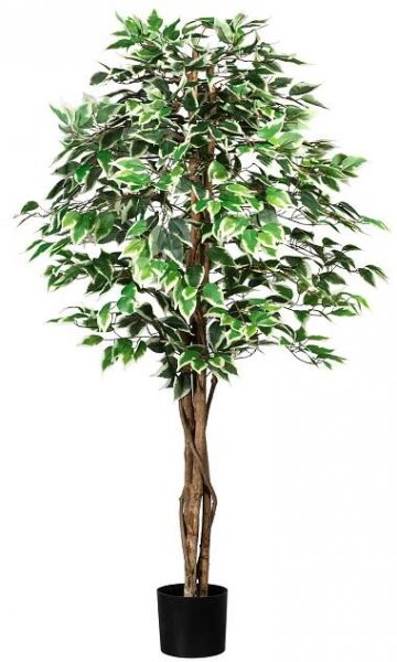 P & B Kunstpflanze Ficus Benjamina Grünpflanzen