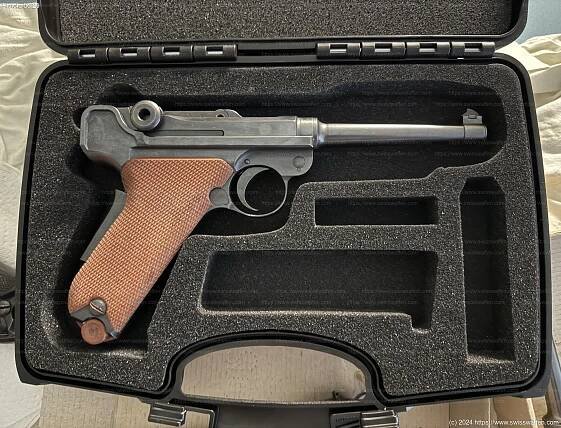 Weapon Details Pistole 06/29