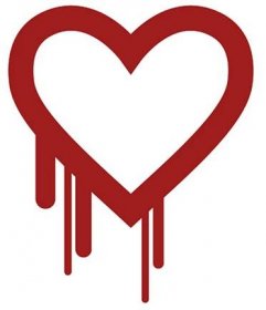 Heartbleed vulnerability: What should you do?