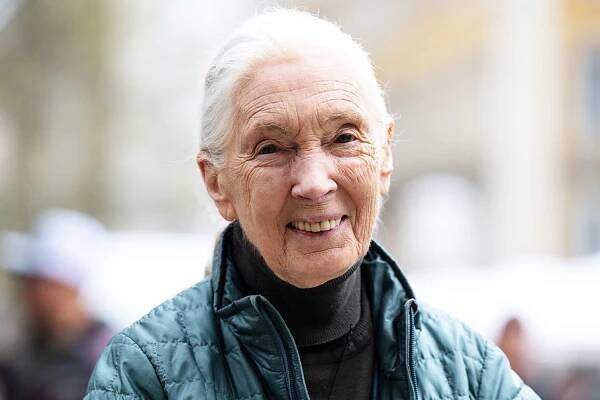 Jane Goodall Reveals She's Celebrating Her Milestone 90th Birthday with a Salute from 90 Dogs (Exclusive)