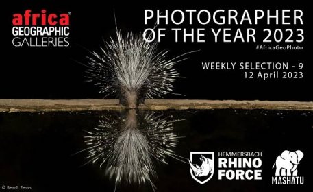 Photographer of the Year 2023 Weekly Selection: Week 9 - Africa Geographic