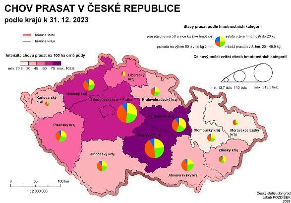Kartogram: Chov prasat podle krajů k 31. 12. 2023