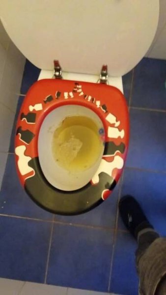 Čištění ucpaného WC - VolejFerdu.cz