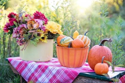 Podzimní dekorace pro Váš balkon, terasu i zahradu | Moderní zahrada