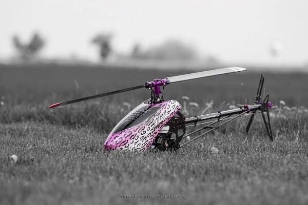 LA 700 Purple PBS