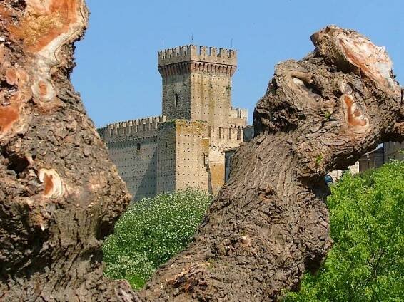 B&B vicino al mare, nel cuore delle colline marchigiane
