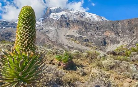 12 Things You Need to Know Before Climbing Kilimanjaro | Ultimate Kilimanjaro