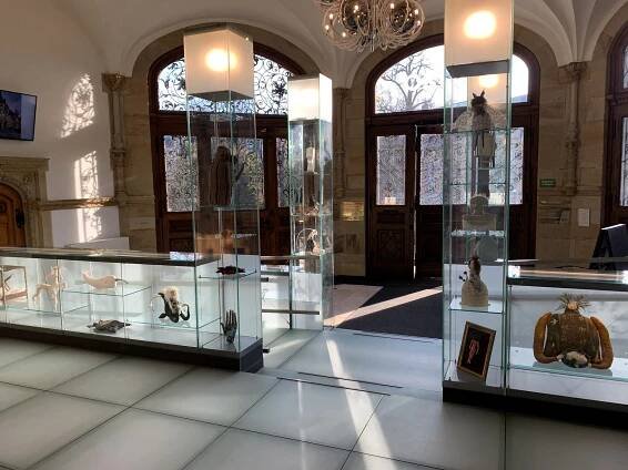 FOTO, VIDEO: Muzeum obsadily fantaskní bytosti od tvůrkyně z Kamenického Šenova
