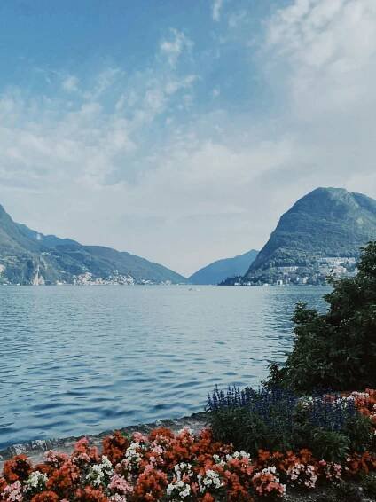 bezplatná Pohled Z Parku Lugano Ve švýcarsku Základová fotografie