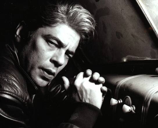 Benicio Del Toro