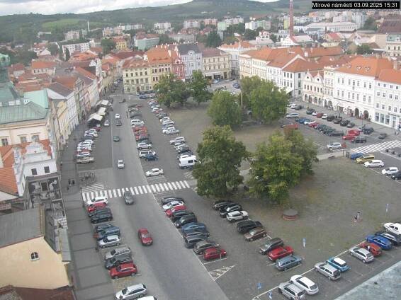Netcam