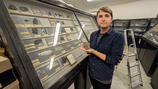 Příběhy exponátů: Ostravský geolog našel v dole na Karvinsku zkamenělé křídlo pravěkého předchůdce švábů