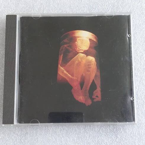 Alice In Chains – Nothing Safe CD indie grunge nirvana pearl jam