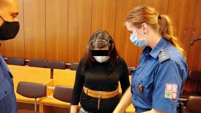 Zabila své dítě a hodila do popelnice. Sama se pak ptala: Jaká hyena to udělala?