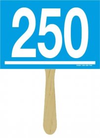 Individual Numbered Bid Paddles with Colored Background