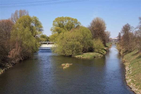 Soutok Svratky a Svitavy - Řeka