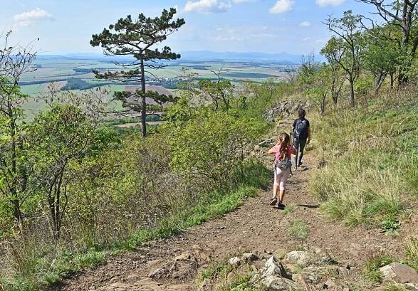Žlutá turistická trasa na Říp.