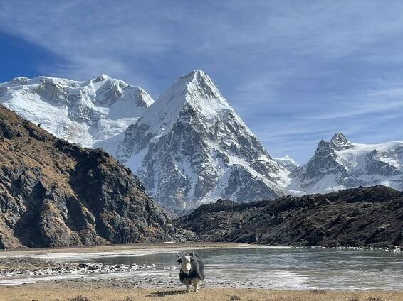 Kanchenjunga South Base Camp Trek – exploring the New & Shorter Trail – Ghumante Store