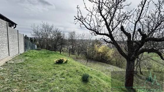 1 ložnice byt o velikosti 2.31 m² - Váš nový pronájem