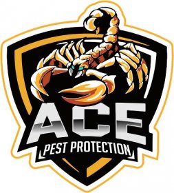 Pest Control | Ace Pest Protection