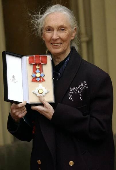 Hvězda křtin gorilí holčičky Jane Goodallová (90): Od žížal k životu mezi šimpanzi!