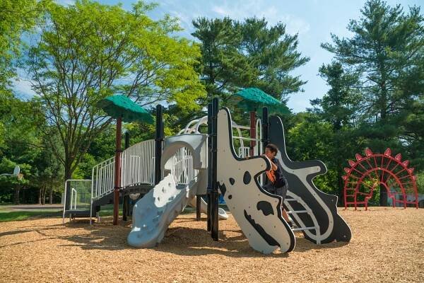 Park Playground Equipment | Miracle Recreation