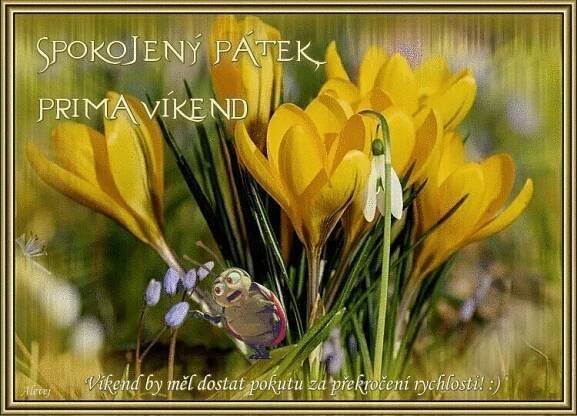 Spokojený pátek, prima víkend