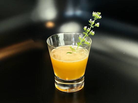 Calamintha Whiskey Sour
