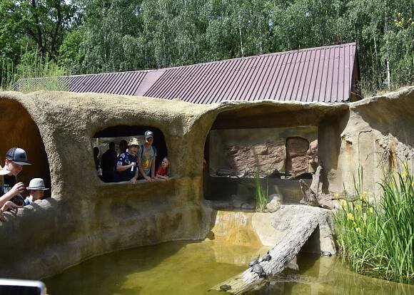 VIDEO: Tady teď bydlí želvy. Chomutovský zoopark otevřel novou expozici