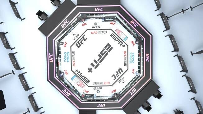 3D Arena Fighting MMA - 3D Model model https://p.turbosquid.com/ts-thumb/7N/xt40J8/16/09_image/png/1745298210/1920x1080/fit_q87/16e0f7e6736be6660b537f1681297016e90b10ab/09_image.jpg