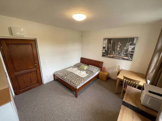 Apartmán 1 - pronájem chalupy Jáchymov - foto 12