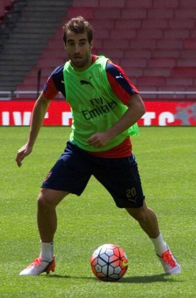 Mathieu Flamini - Wikipedia
