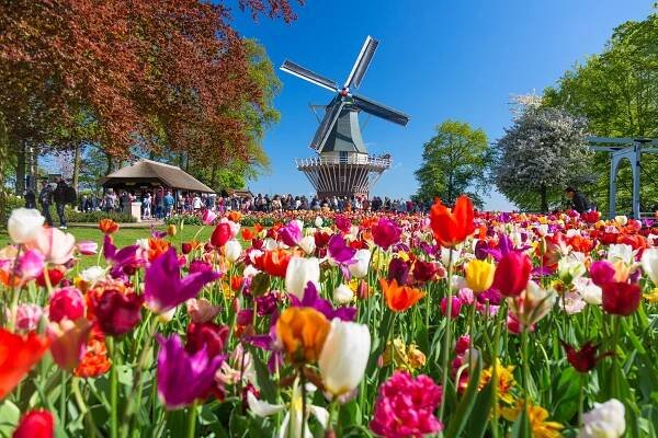 Holandsko – květinová zahrada Keukenhof, dřeváky a sýry v Zaanse Schans, Amsterdam - Bontour