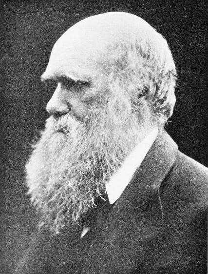 Category:Portraits of Charles Darwin - Wikimedia Commons