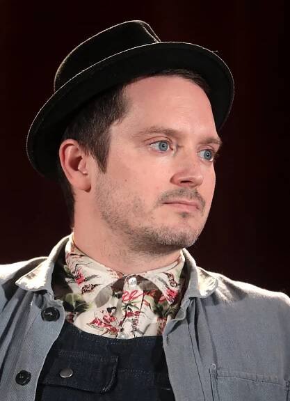 Súbor:Elijah Wood (47955397556) (cropped).jpg – Wikipédia