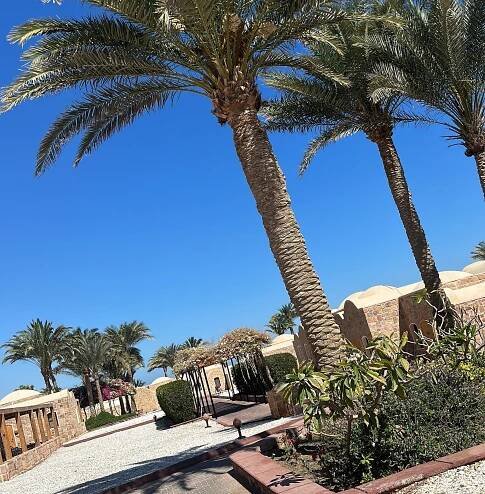 MOEVENPICK RESORT EL QUSEIR - Updated 2025 Prices & Reviews (Egypt)